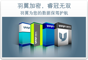 羽翼，开启核心竞争力安全之翼
